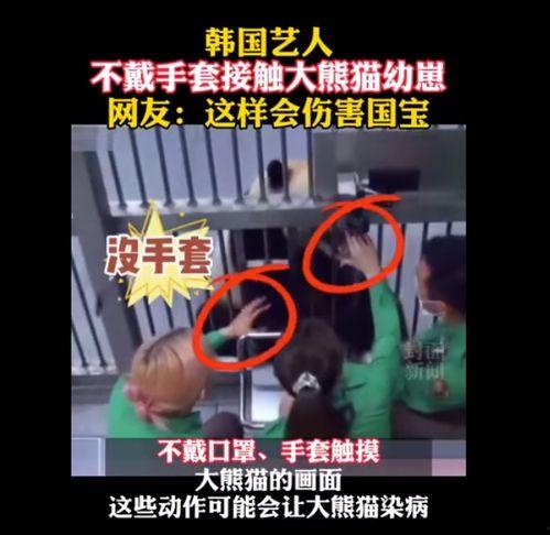 韩综组建女团爆料视频,独家爆料视频深度解析  第2张 韩综组建女团爆料视频,独家爆料视频深度解析  第2张