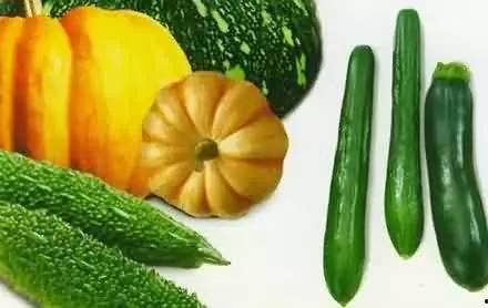 免费请吃瓜的说说,揭秘网络热传的神秘现象  第2张 免费请吃瓜的说说,揭秘网络热传的神秘现象  第2张