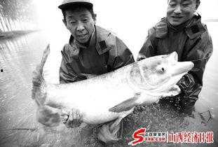 天津水产爆料事件最新,揭露海鲜市场惊人内幕,食品安全再引关注  第2张 天津水产爆料事件最新,揭露海鲜市场惊人内幕,食品安全再引关注  第2张