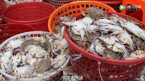 天津水产爆料事件最新,揭露海鲜市场惊人内幕,食品安全再引关注  第3张 天津水产爆料事件最新,揭露海鲜市场惊人内幕,食品安全再引关注  第3张