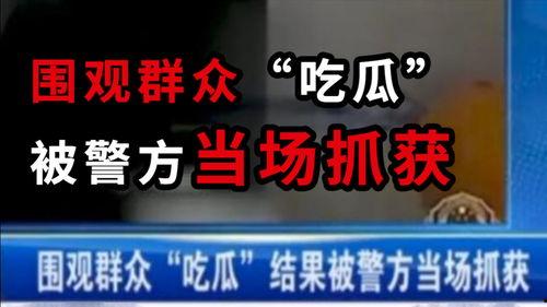 在线围观吃瓜后续小说免费阅读,揭秘网络小说背后的精彩故事  第2张 在线围观吃瓜后续小说免费阅读,揭秘网络小说背后的精彩故事  第2张